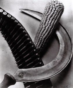Tina Modotti,Bandolier, Corn, Sickle, 1927