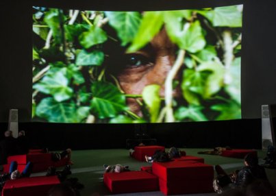 Alberi di Michelangelo Frammartino